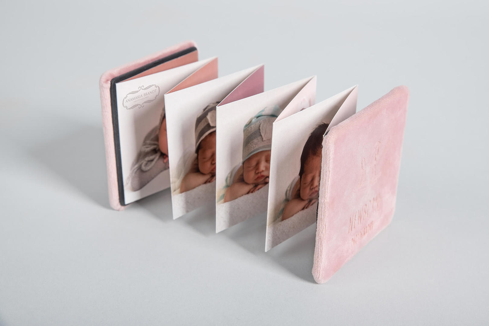 Accordion Mini Book: A photographer's love affair | Professional